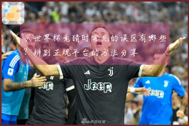 买世界杯竞猜时常见的误区有哪些？辨别正规平台的方法分享