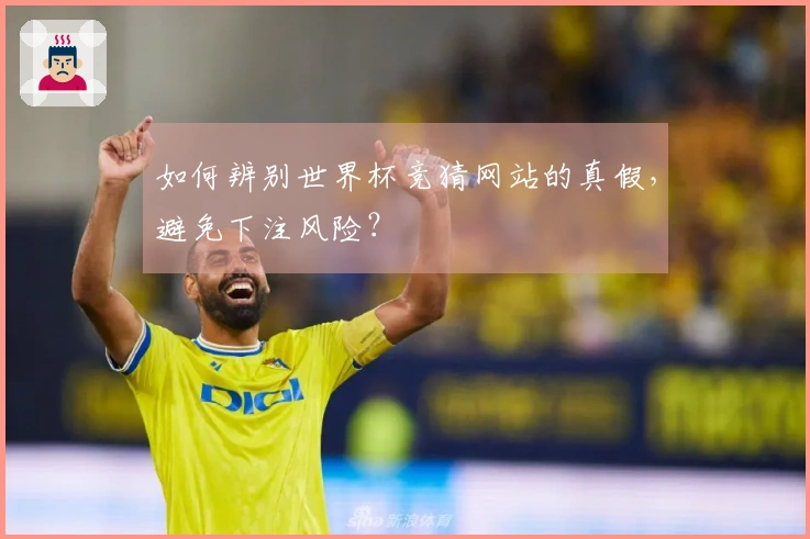 如何辨别世界杯竞猜网站的真假，避免下注风险？