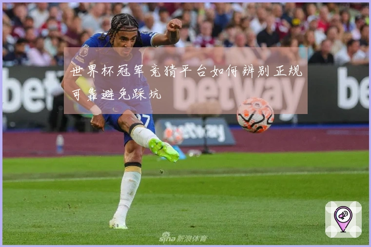 世界杯冠军竞猜平台如何辨别正规可靠避免踩坑