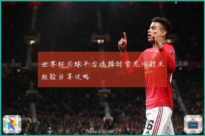 世界杯买球平台选择时常见问题及经验分享攻略