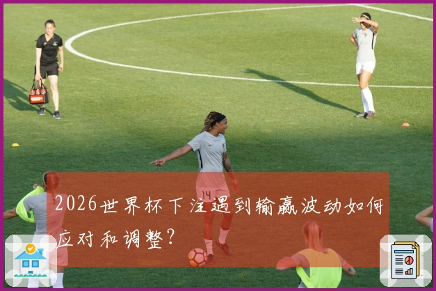 2026世界杯下注遇到输赢波动如何应对和调整？