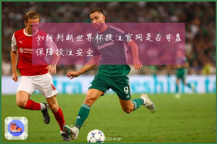 如何判断世界杯投注官网是否可靠保障投注安全