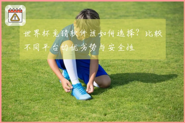 世界杯竞猜软件该如何选择？比较不同平台的优劣势与安全性