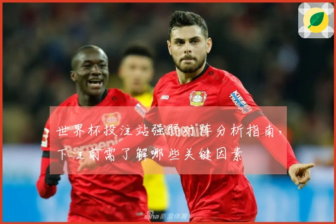 世界杯投注站强弱对阵分析指南，下注前需了解哪些关键因素