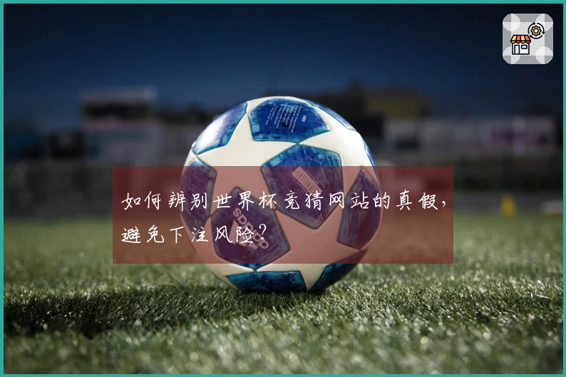 如何辨别世界杯竞猜网站的真假，避免下注风险？