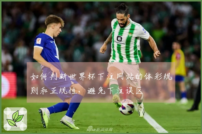 如何判断世界杯下注网站的体彩规则和正规性，避免下注误区